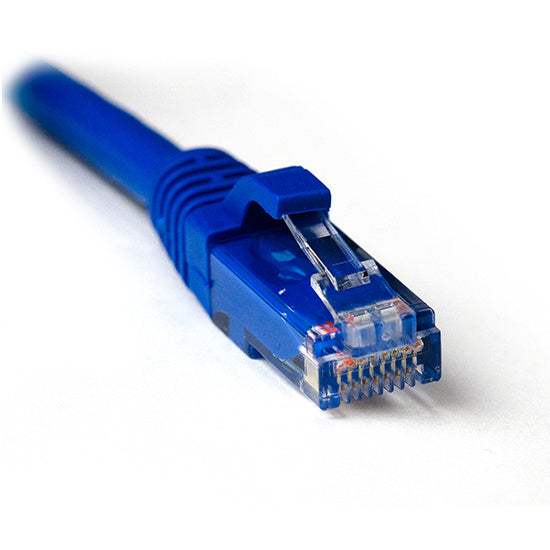 Traffic CAT6 Patch Cord 0.5 Meter Blue
